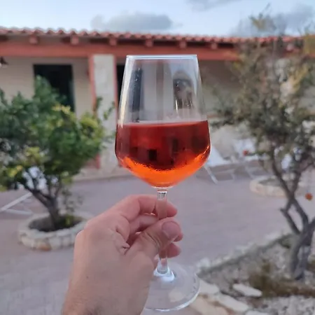 Pomelia - Lampedusa