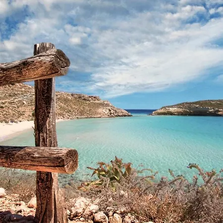 Pomelia - Lampedusa