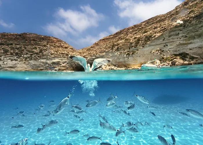 Pomelia - Lägenhet *